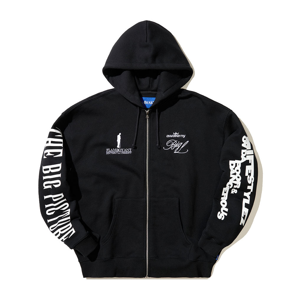THE BIG PICTURE ZIP HOODIE