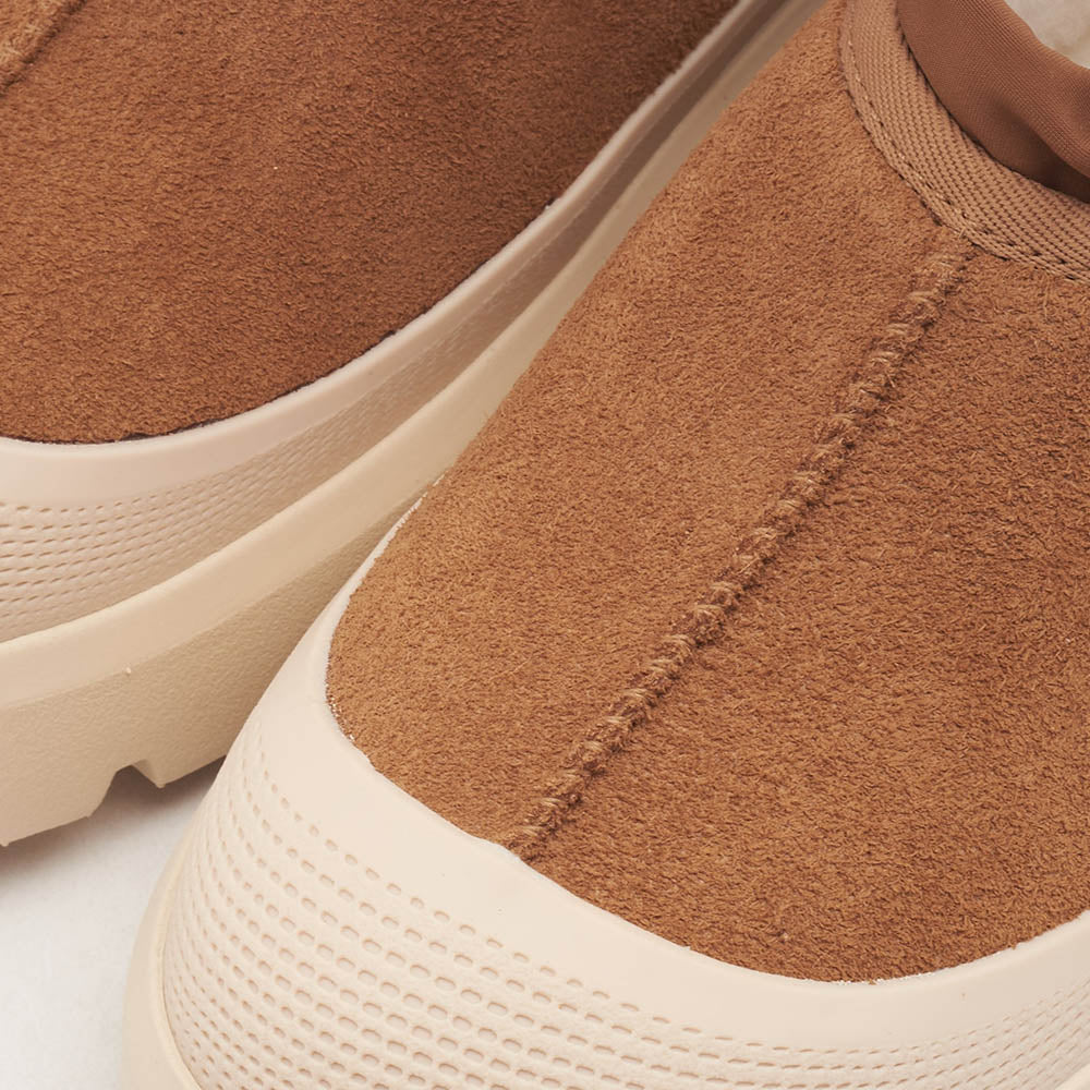 M TASMAN WEATHER HYBRID