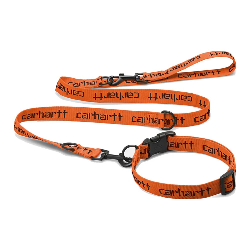SCRIPT DOG LEASH & HALSKETTE